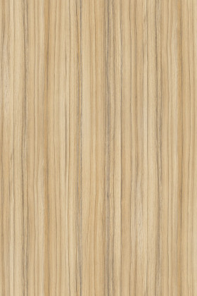 DTDL 8995 SN Coco Bolo 2800/2070/18
