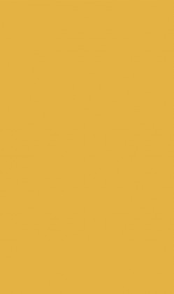 DTDL U163 ST9 Kari žlutá 2800/2070/8