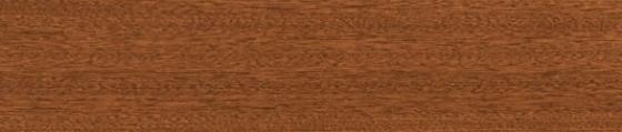 ABSB SHINNOKI 4.0 Terra Sapeli 24/1