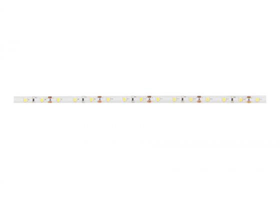 StrongLumio LED pásek 12V 12W/m (60 LED/m) 8mm IP65, bílá studená