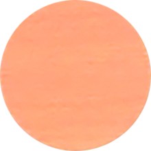 IF Krytka nalepovací 20mm 15ks 727 javor klen