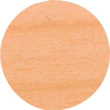 IF Krytka nalepovací 13mm 20ks 168 jasan