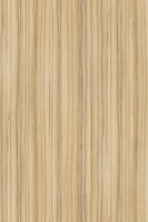 DTDL 8995 SN Coco Bolo 2800/2070/10