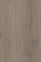 KD-IN K2739 BS Cannolo dub Cremona BLACK LINE TOPS ČJ CGS 2800/2040/12