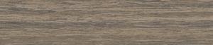 ABSB S185 QE QUERCIA 23/1