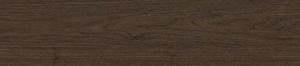 ABSB SHINNOKI 4.0 Stardust Walnut 24/1
