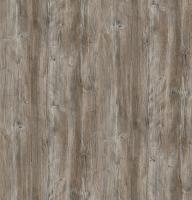 DTDL R55004 DU Pinie Ponderosa 2800/2100/18