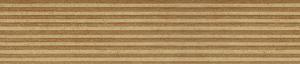 ABSB 4779/OHNE 23/2