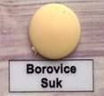 Krytka křížového vrutu borovice sukatá